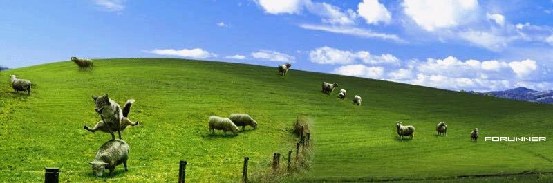 elastic_sheep's profile banner image