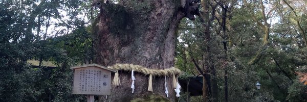 ecoli071 Profile Banner