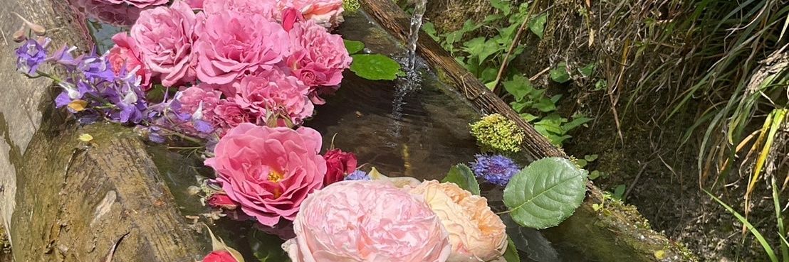 mezzoflower54's profile banner image