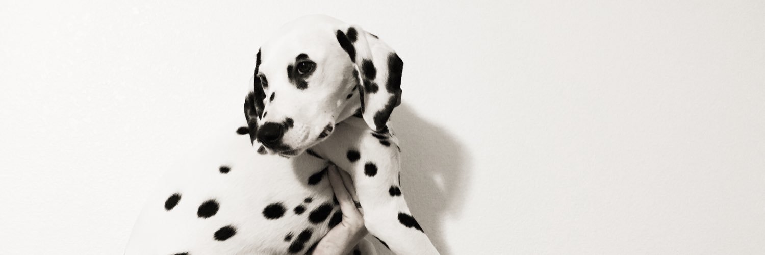 alijhanson's profile banner image