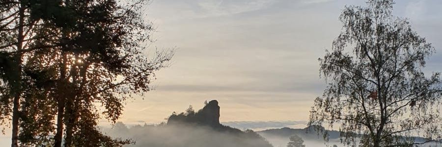 absofrutelynot's profile banner image