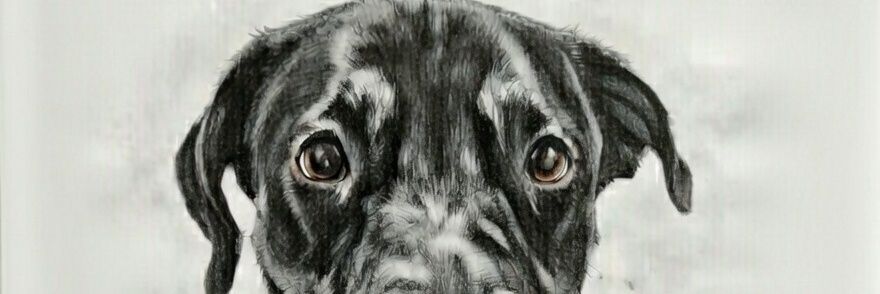 assiscezar_e's profile banner image
