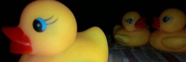 _siskaveronica's profile banner image