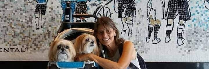Betinha Ribeiro 🇧🇷 🇪🇪 🇺🇲 banner
