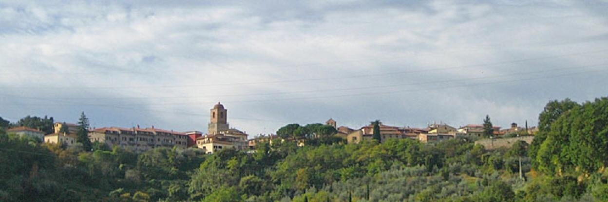 prolocochiusi's profile banner image