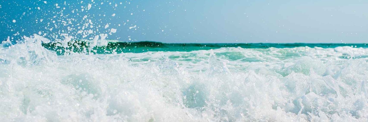 Patricio Herman banner