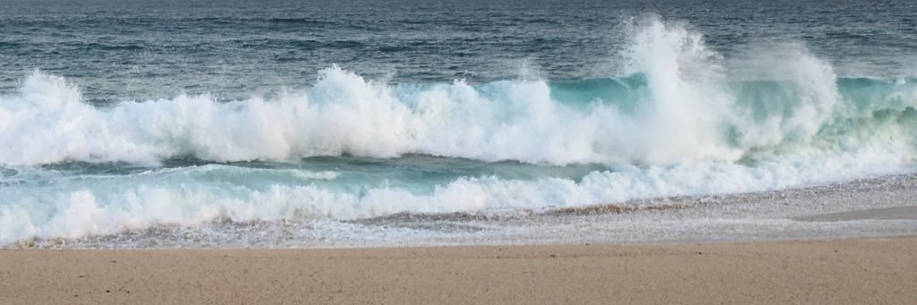 mckeeolivia99's profile banner image