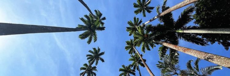 samueldmrd's profile banner image