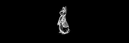 Agus Kurniawan banner