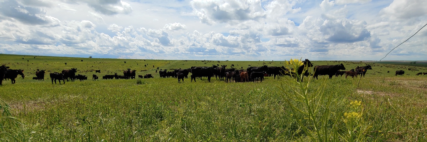 Ranch Foods Direct banner