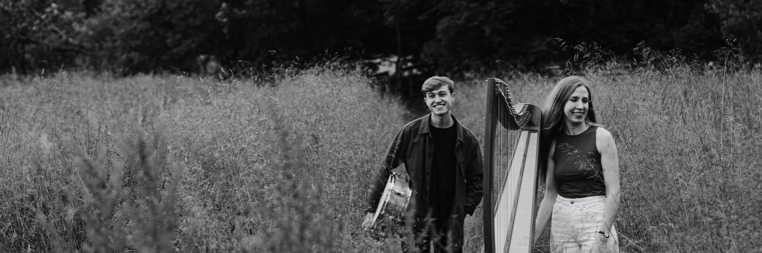 theseoldstrings's profile banner image