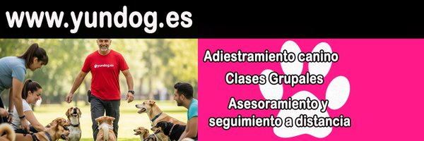 yundog2019 Profile Banner
