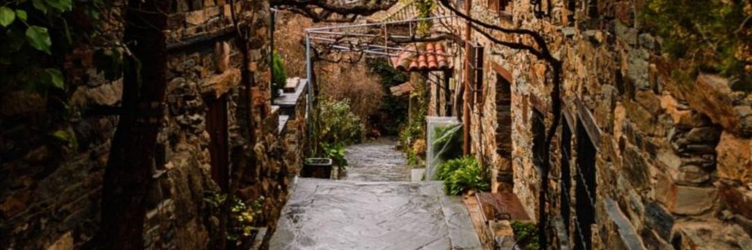 J. P. de S. R banner