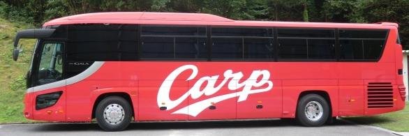 carpfan01's profile banner image