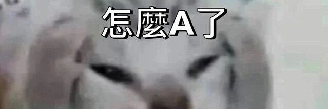 DreamSkyFly's profile banner image