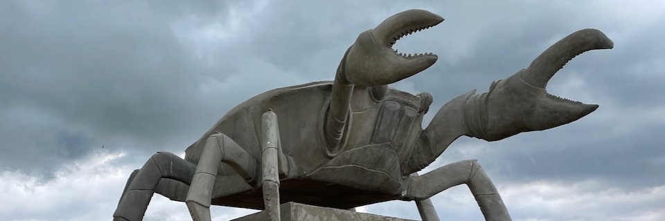 kasnetz's profile banner image