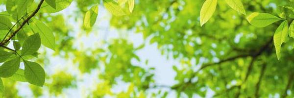 UoEWellbeing Profile Banner