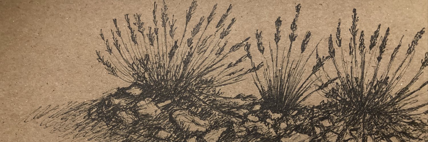 Alanna_Orpen's profile banner image