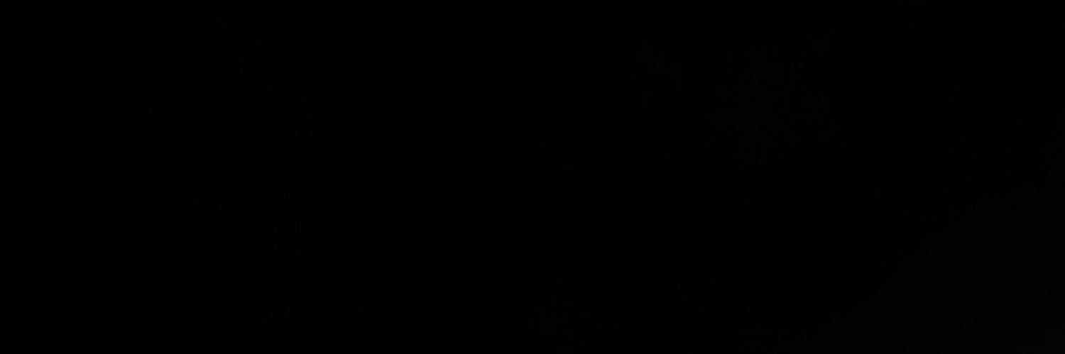 LipscombTia's profile banner image