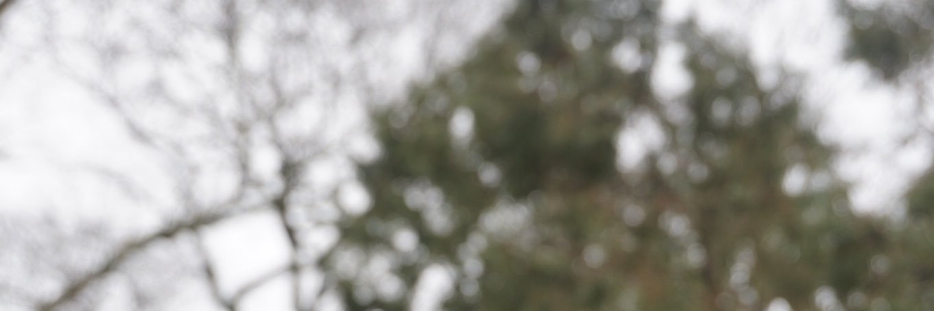 jaredshelby_'s profile banner image