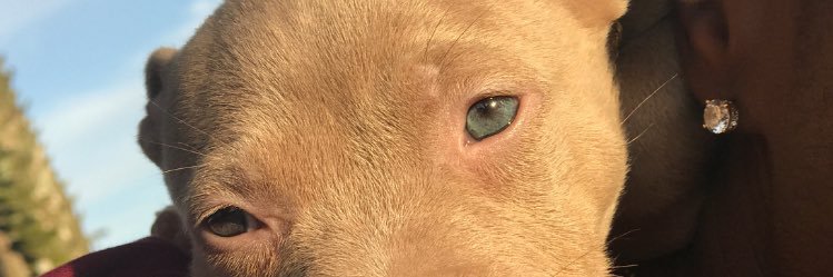 andre_black_'s profile banner image