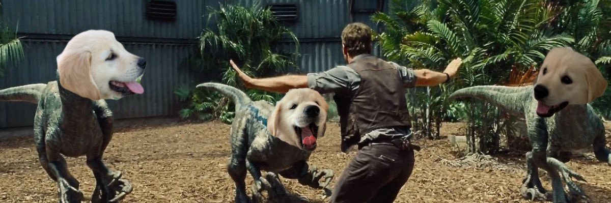 DanniCouture26's profile banner image