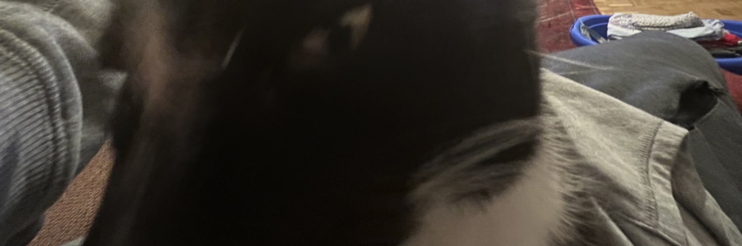 Alioo86🍉 banner