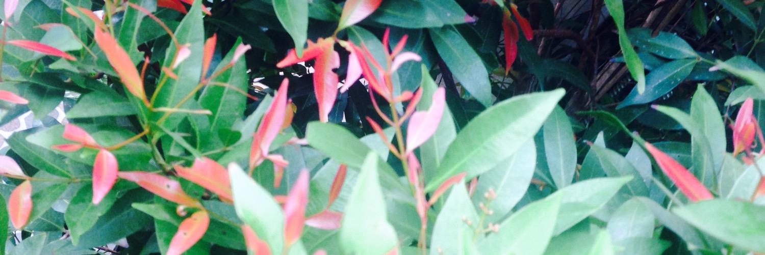 putrindersavira's profile banner image