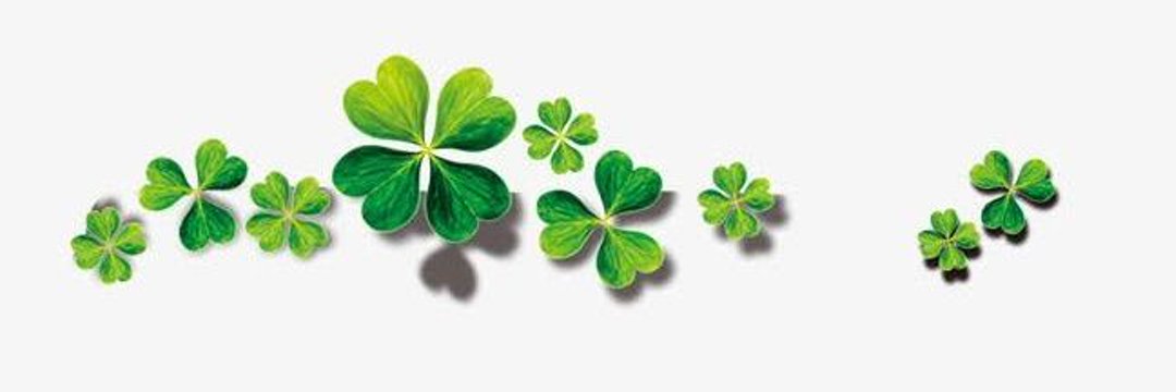 Elle🤍 banner