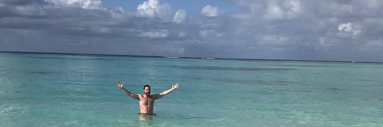 Michael Weaver banner