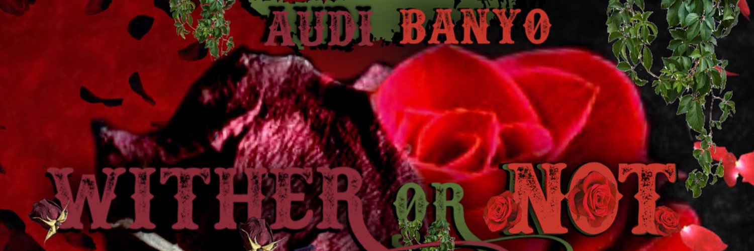 AudiBanYo's profile banner image
