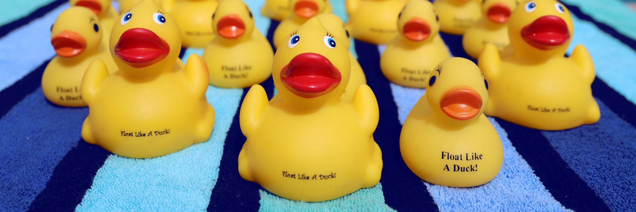 Duckieparagon's profile banner image