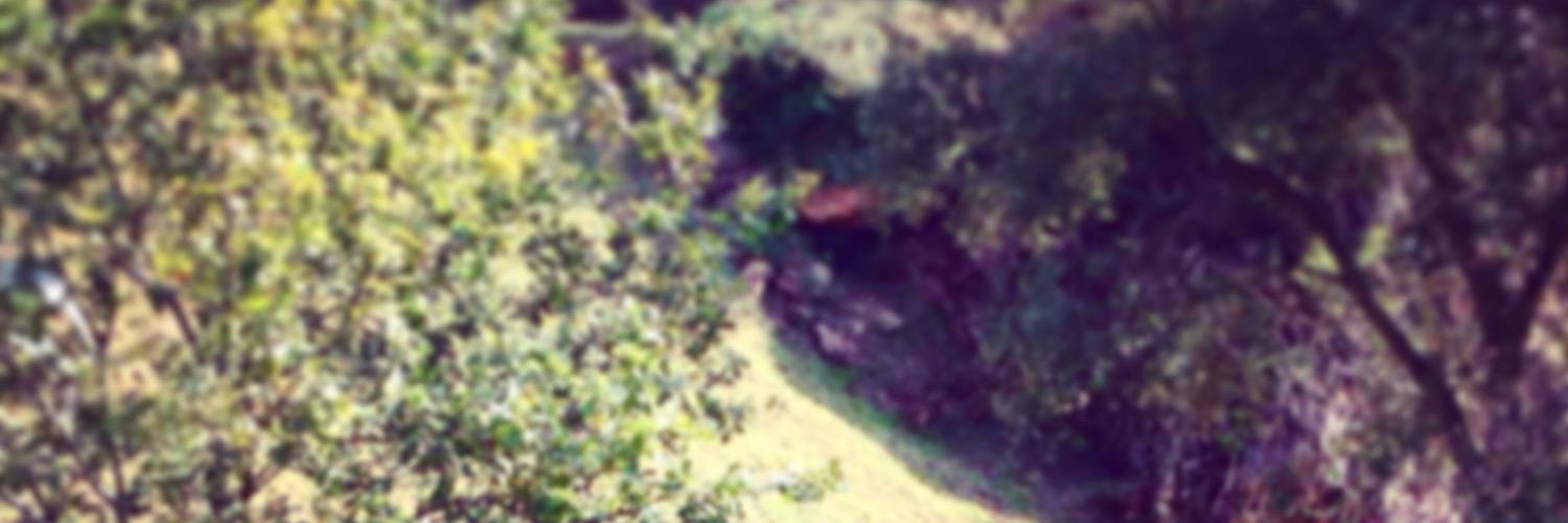 galupct's profile banner image