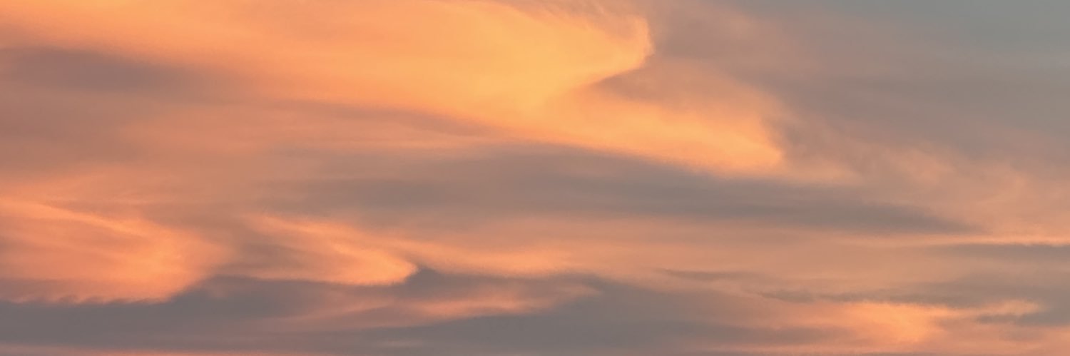 syjonss123's profile banner image