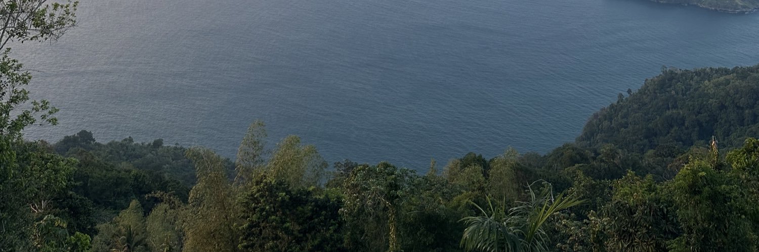 AliceVilanculo banner