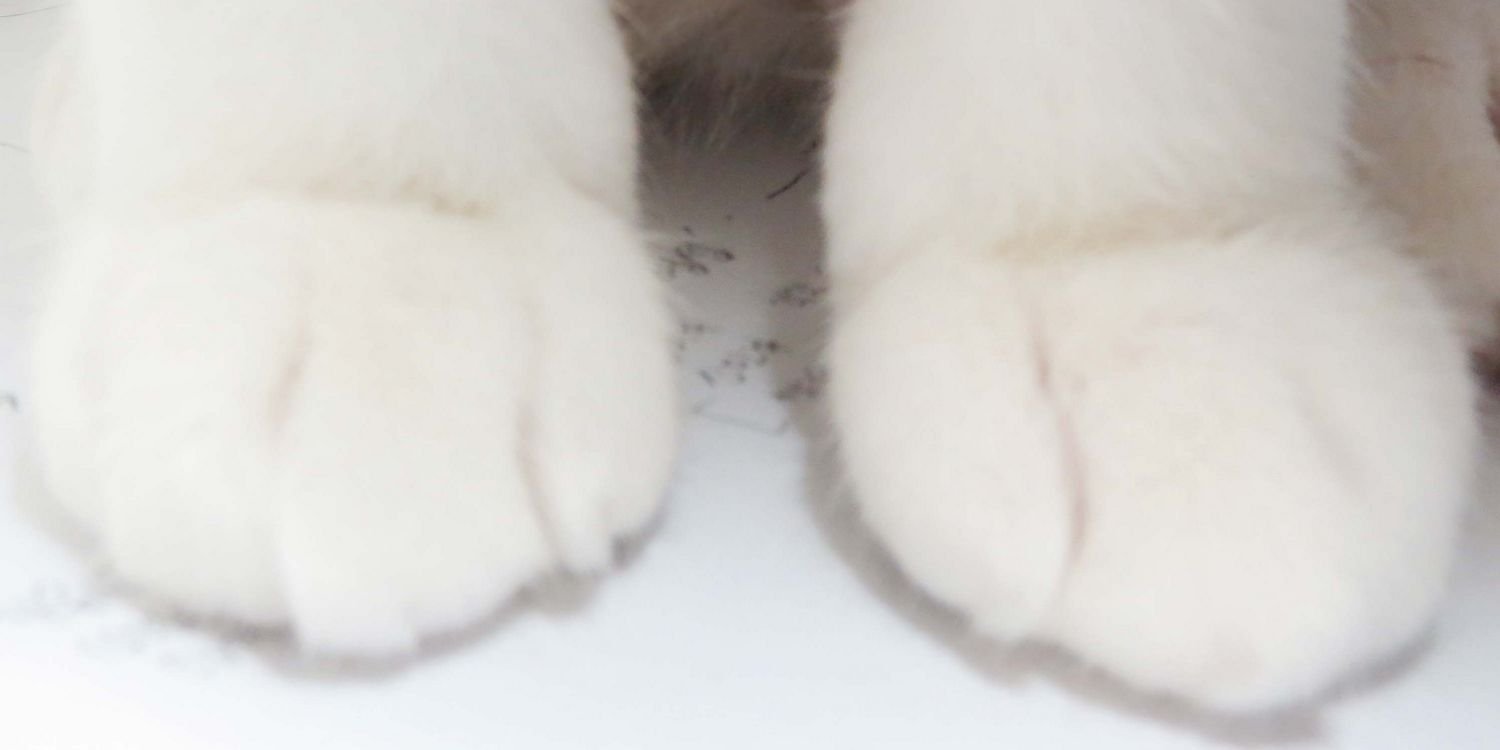 헤이오뤤지 banner
