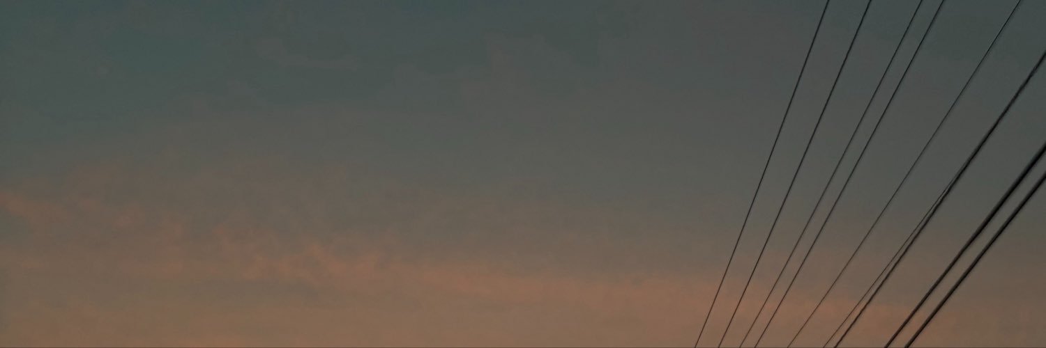 stinkylor's profile banner image