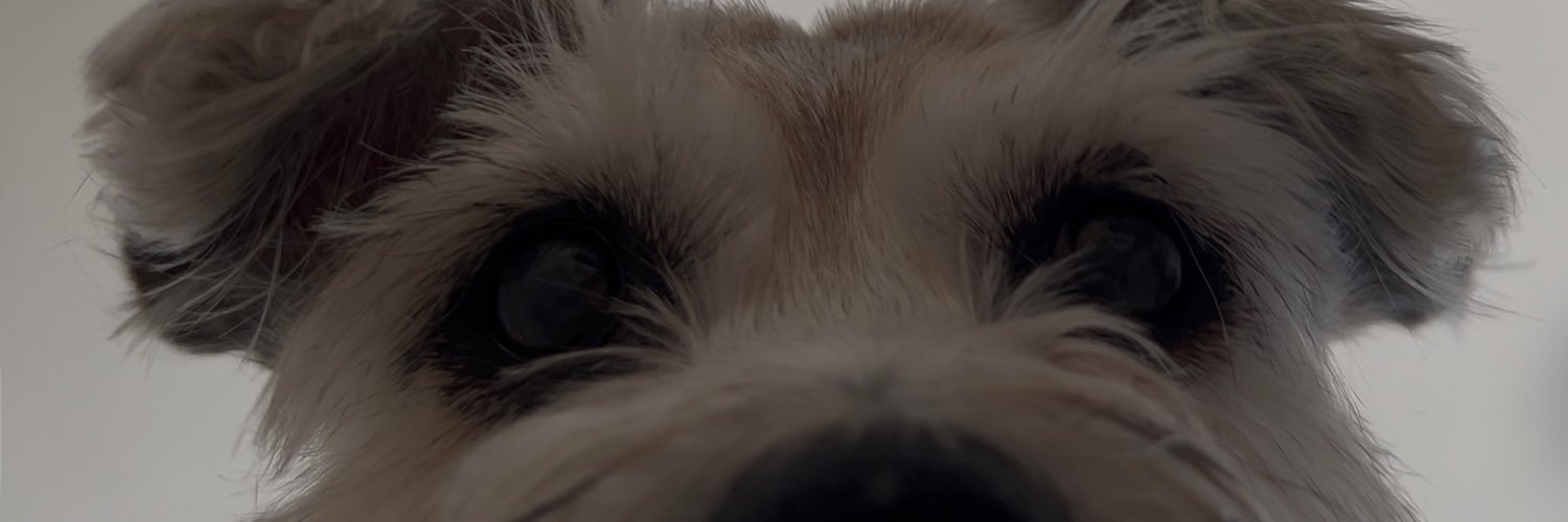Sam_lAm_'s profile banner image