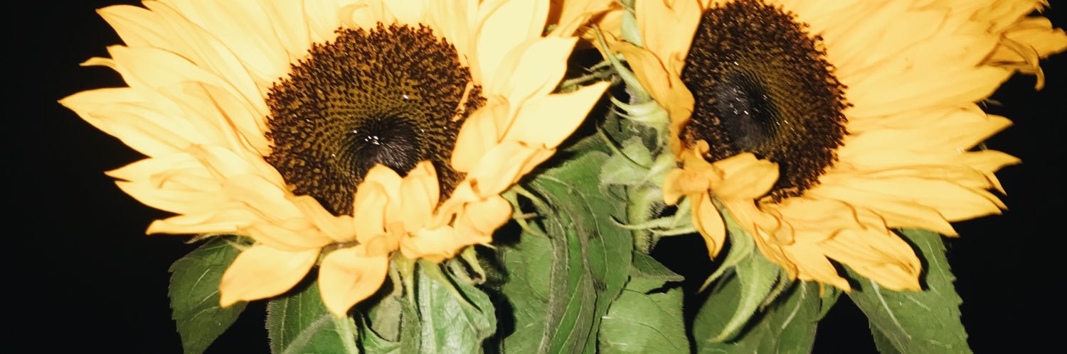 LauraBercebal's profile banner image