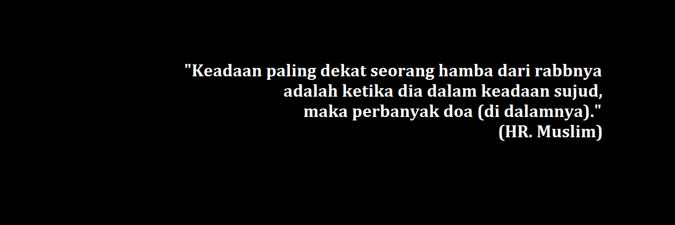 Bejo banner