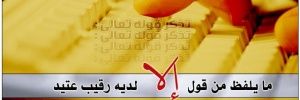 leilaaa2011's profile banner image