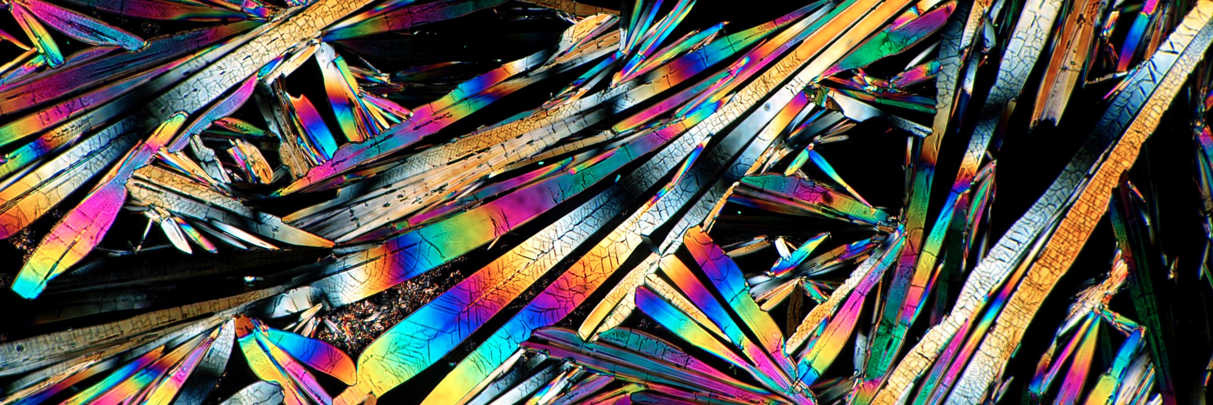 dogpasta's profile banner image