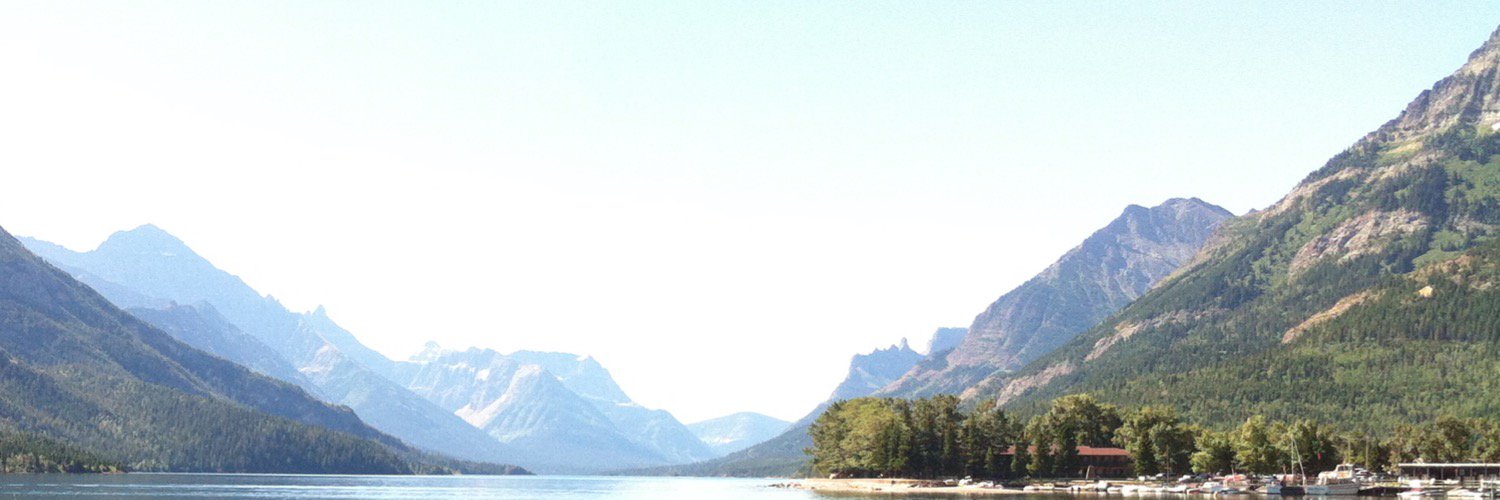 LizLeland's profile banner image