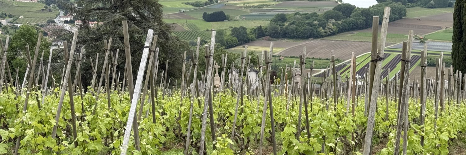 guibourgui's profile banner image