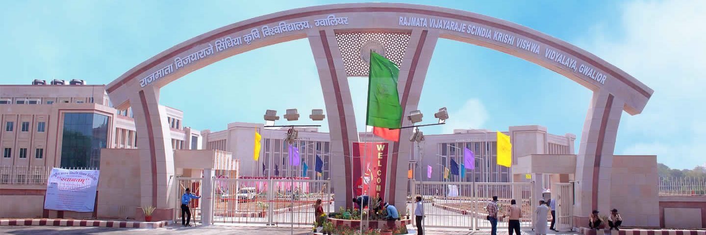Naveen Jangir banner