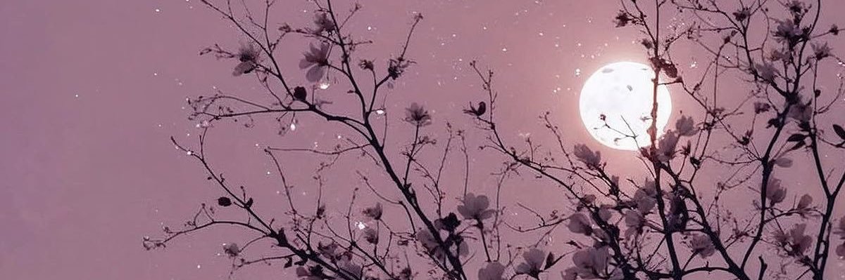 jocemtzz's profile banner image