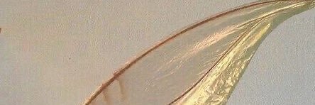 enny_oae's profile banner image
