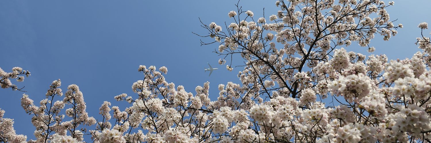 GRrrrrrrr BRIDEZILLA ! 👠✨️✈️ banner