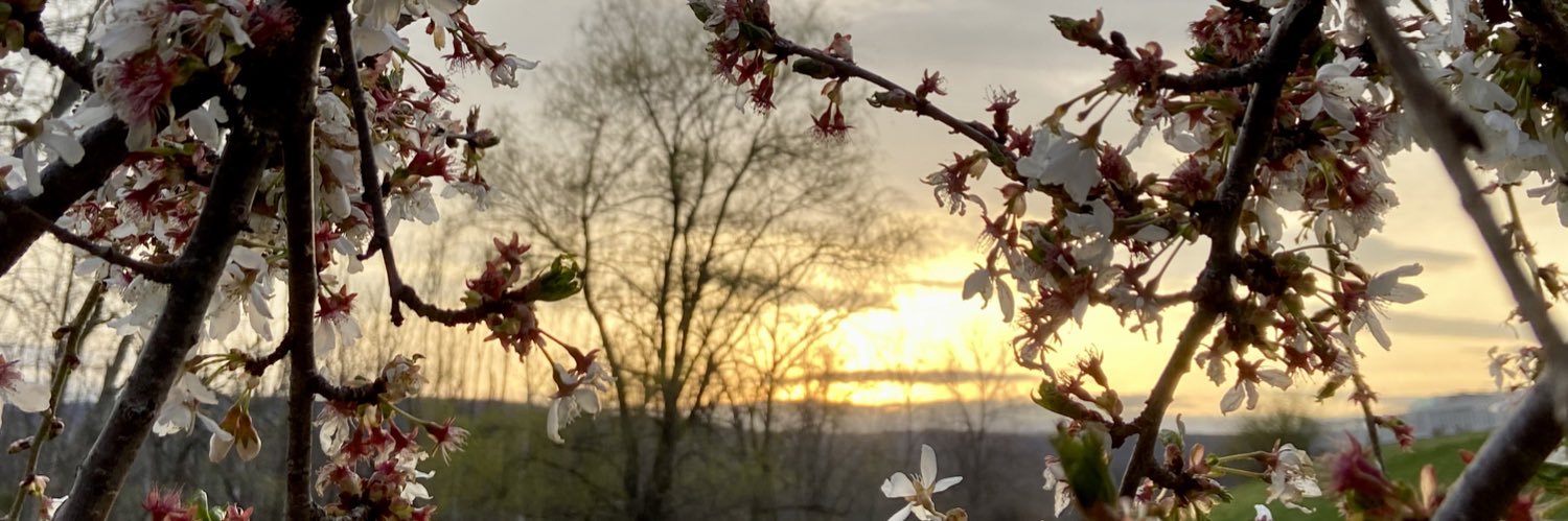 CorieWhalen's profile banner image