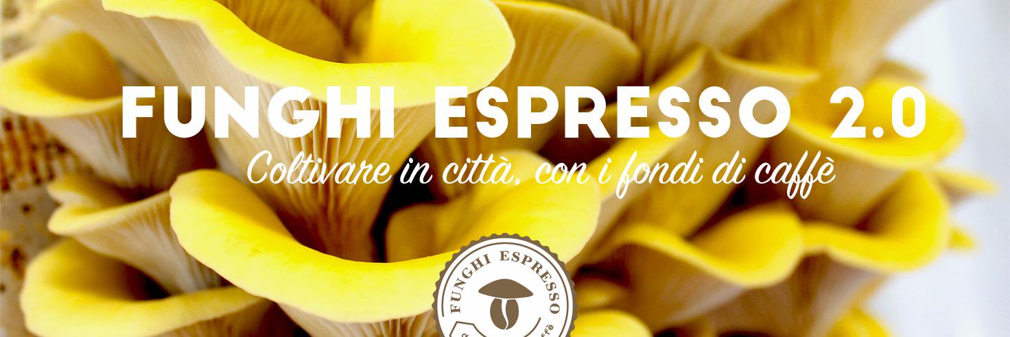 FunghiEspresso's profile banner image